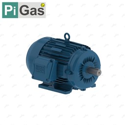 نمایش جزئیات برای الکتروموتور WEG 112M-B3 تصویر الکتروموتور WEG 112M-B3